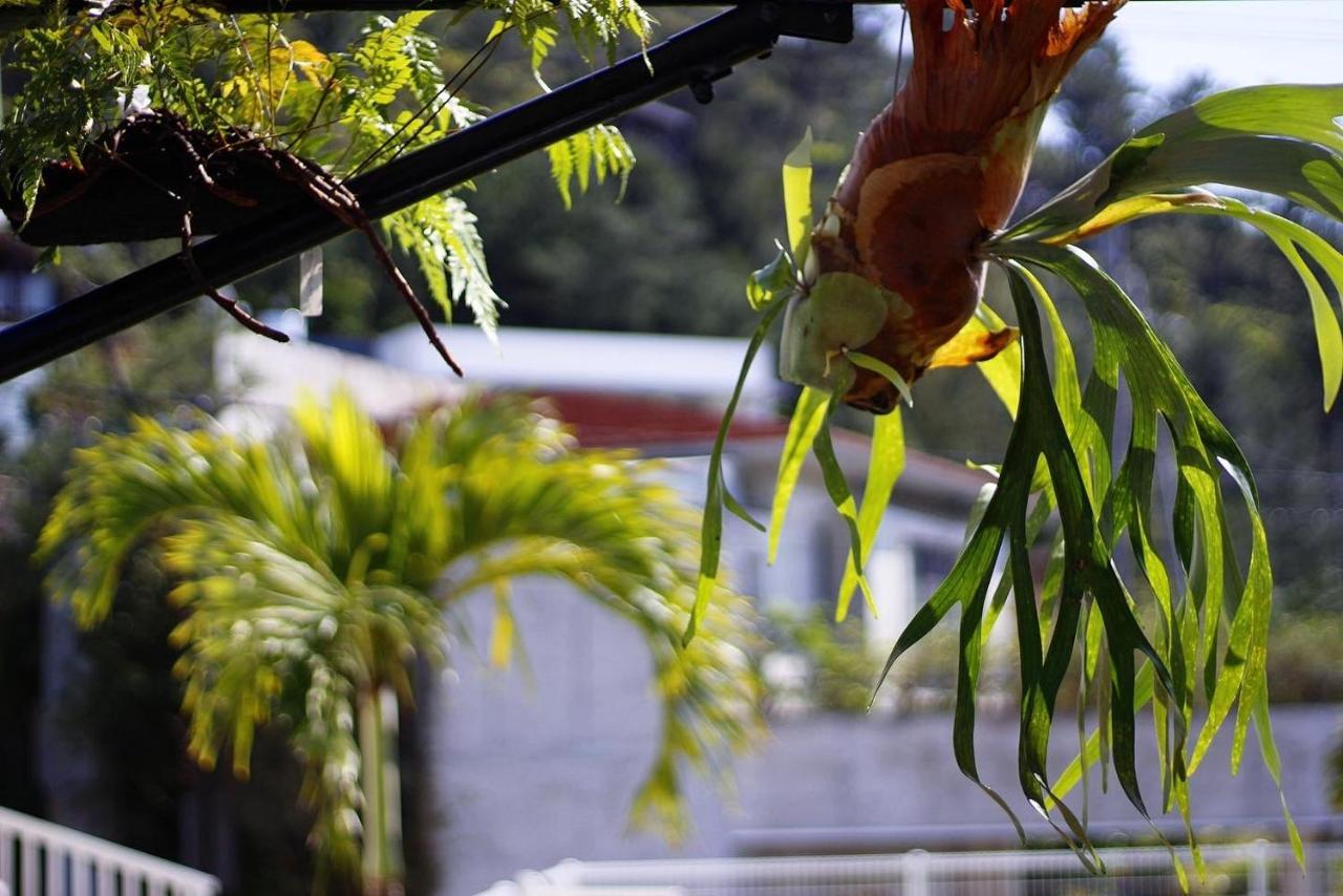 Nangoku Lodge Booya อนนะ ภายนอก รูปภาพ