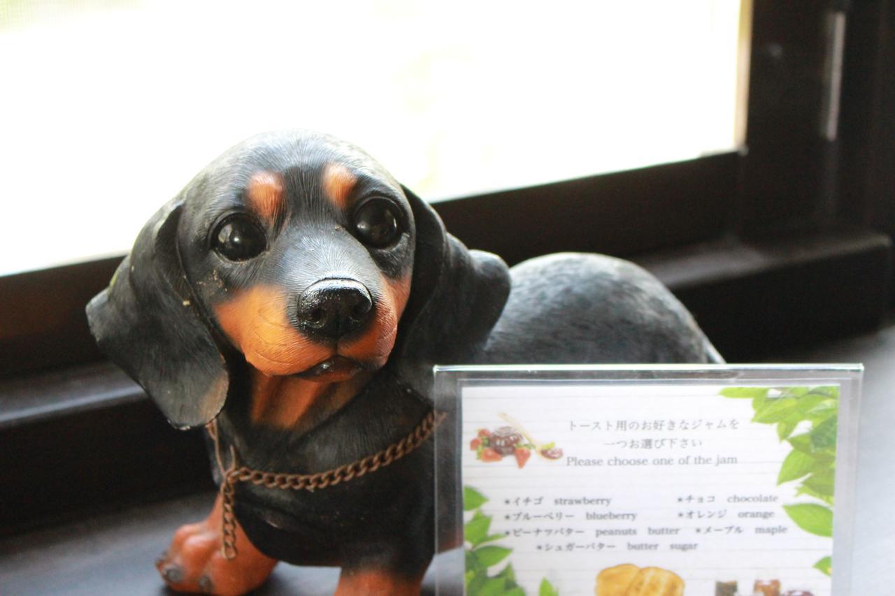 Nangoku Lodge Booya อนนะ ภายนอก รูปภาพ